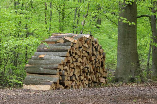 VENTE DE BOIS